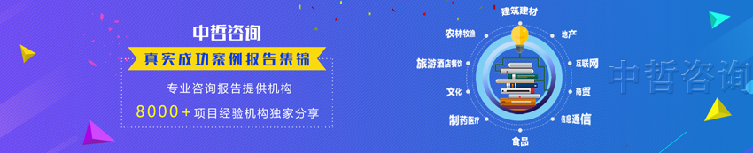 孔师傅食品加工厂项目可行性研究报告